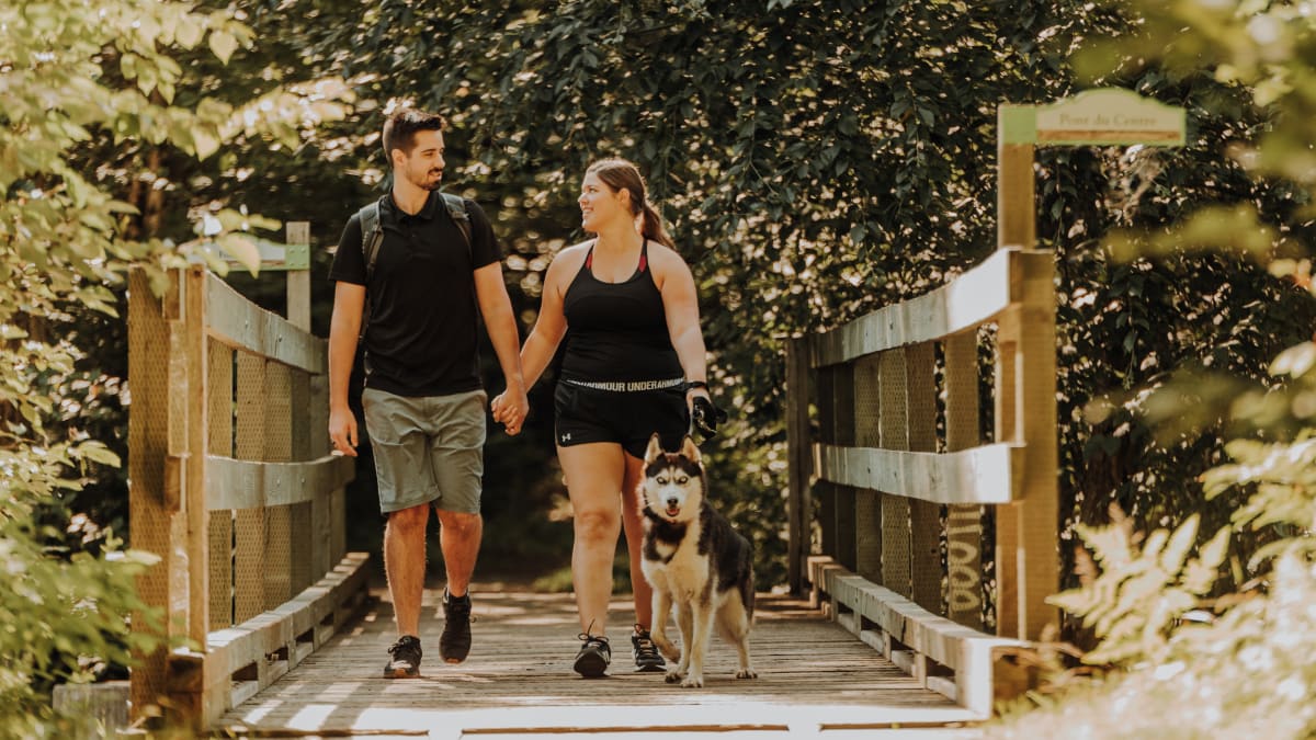 Couple with a dog hiking in a wooded area.