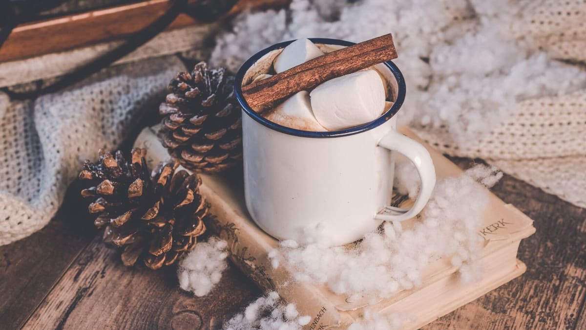 Close-up of a filled cup, with marshmallow and cinnamon stick.