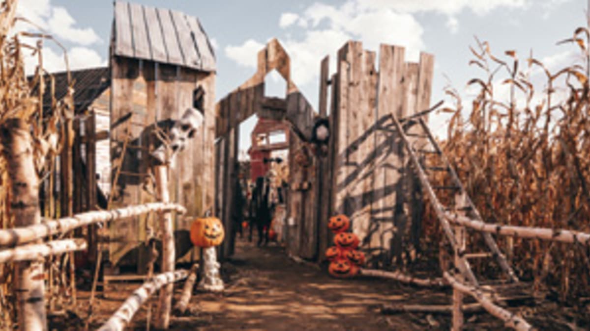 Festiv’Halloween