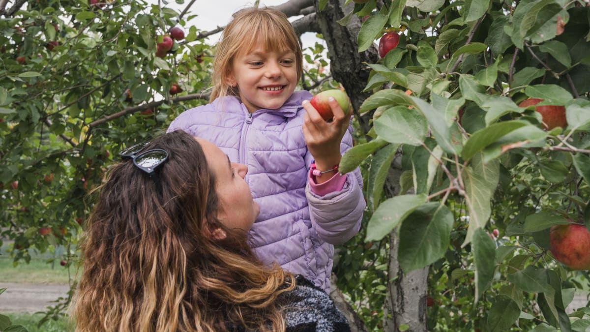 Mother and daughter picking apples.