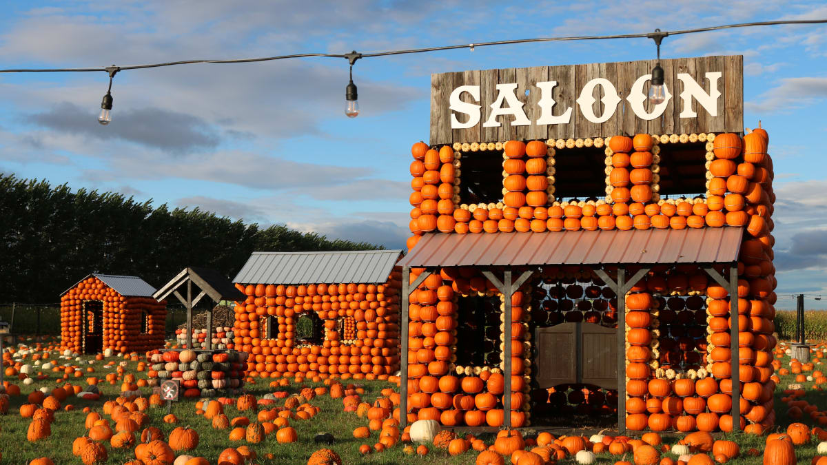 The display at the Citrouilleville attraction including a saloon build out of pumpkins.