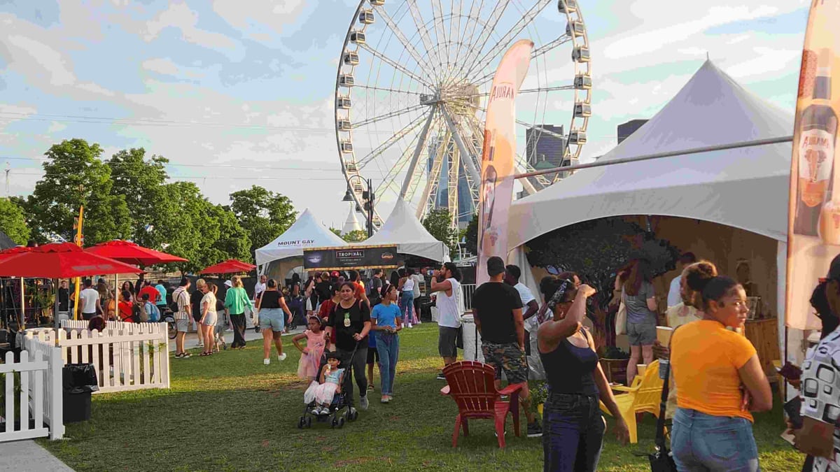 Crowd at the Taste of the caribbean festival.