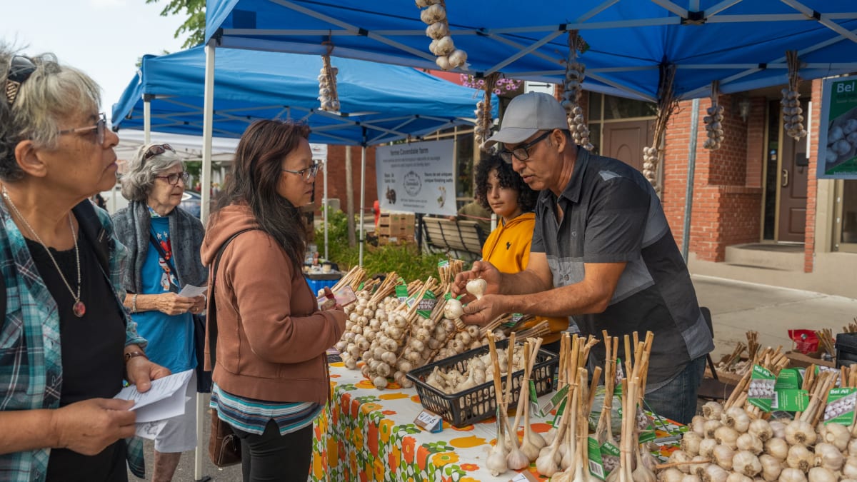 Garlic stand at a market, with vendors and clients discussing.