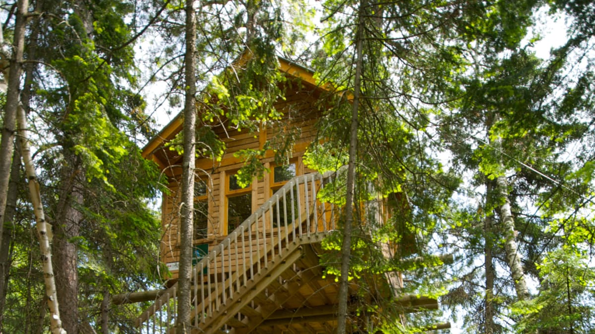 Treetop cabin at Cap-Jaseux