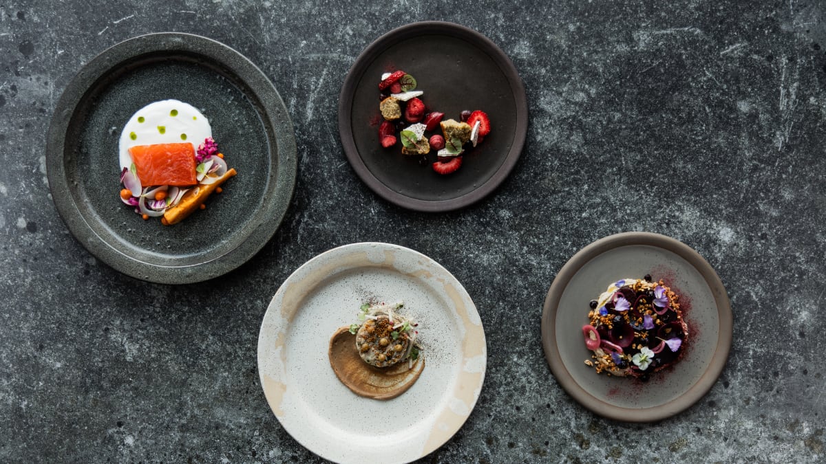 Plats au restaurant Nord des Strom spa nordique.