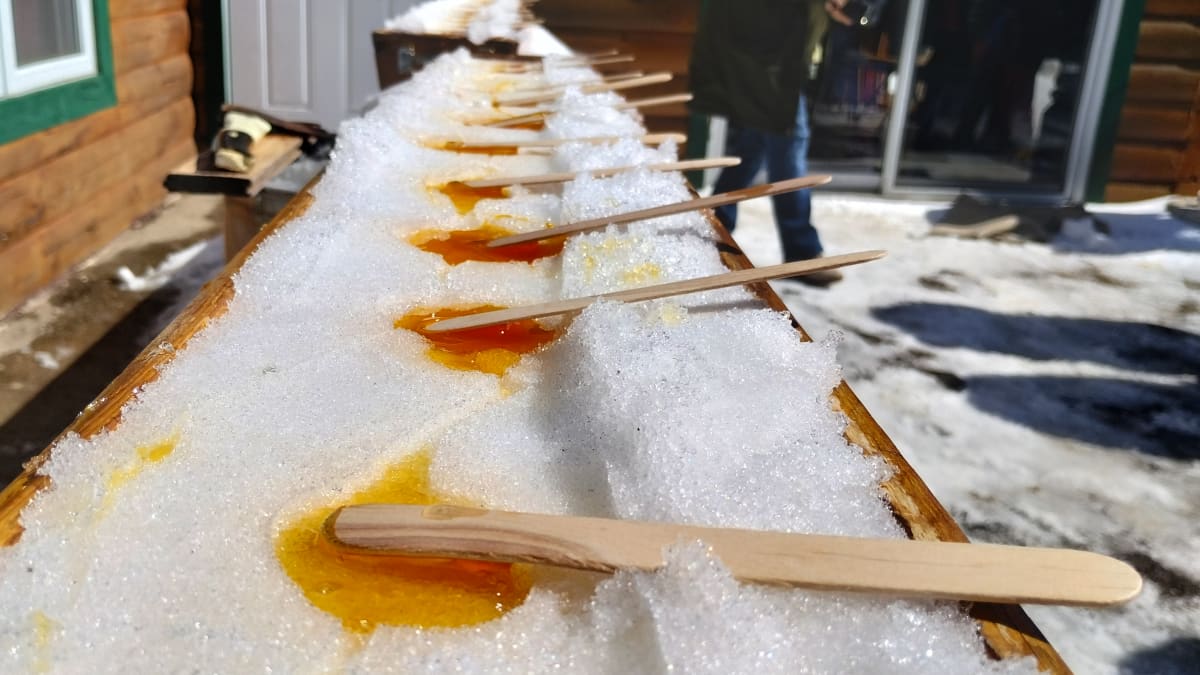 A line of maple taffy sticks on snow.