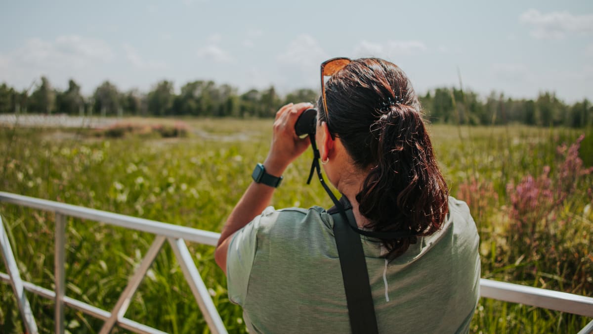 Woman bird-watching in the Plaisance park.