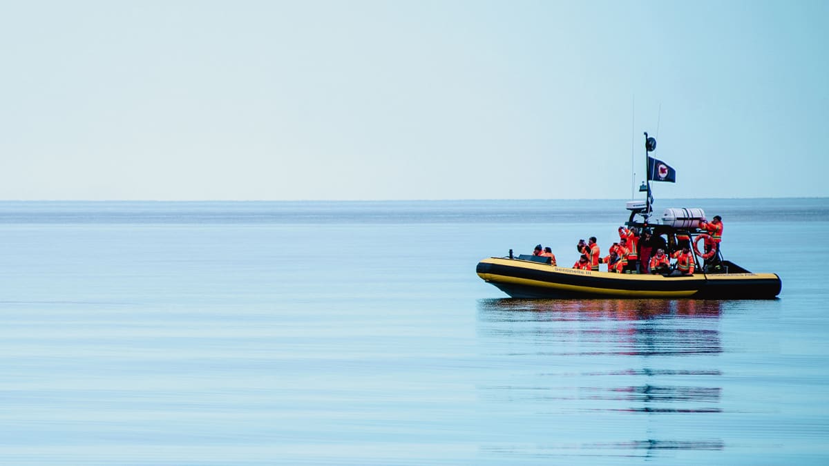 Zodiac on the water and whale fin.