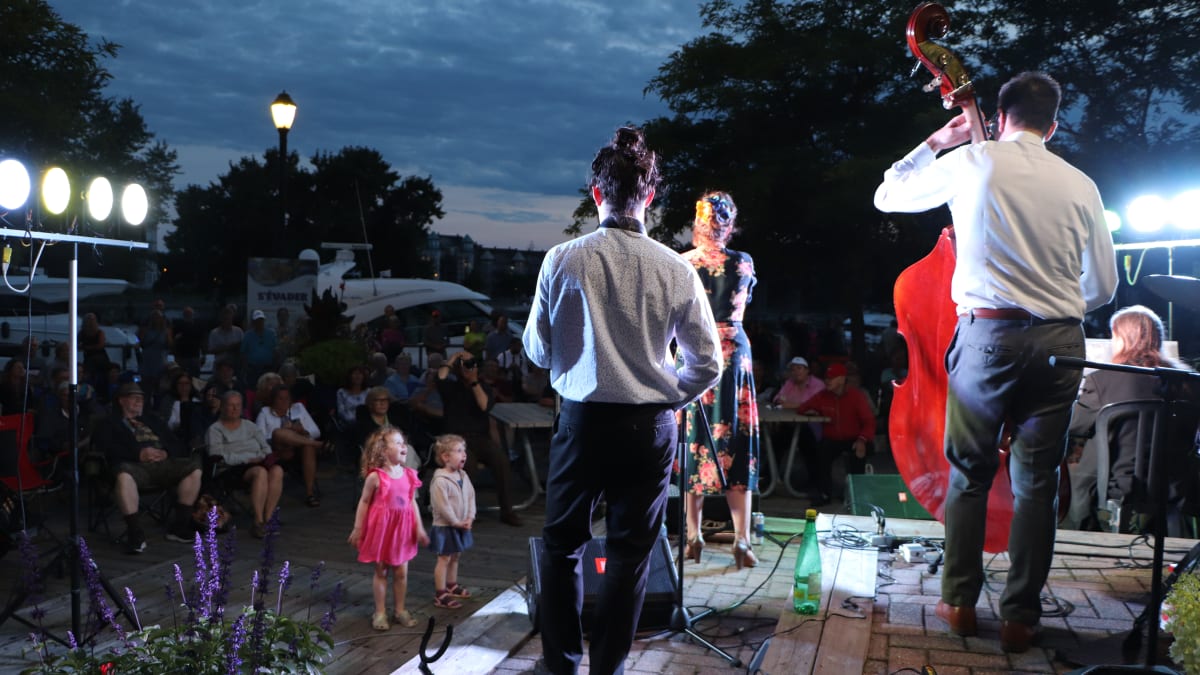 Spectacle musicien sur scène