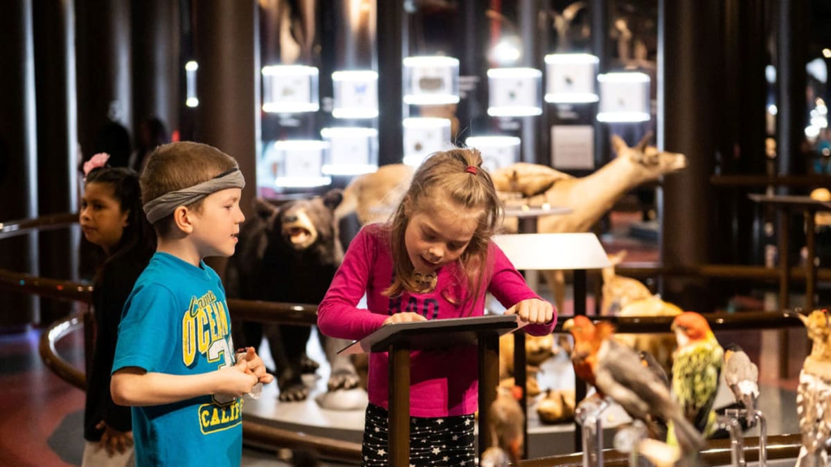 Kids at the Alter Anima exhibit at the Musée de la nature et des sciences de Sherbrooke.