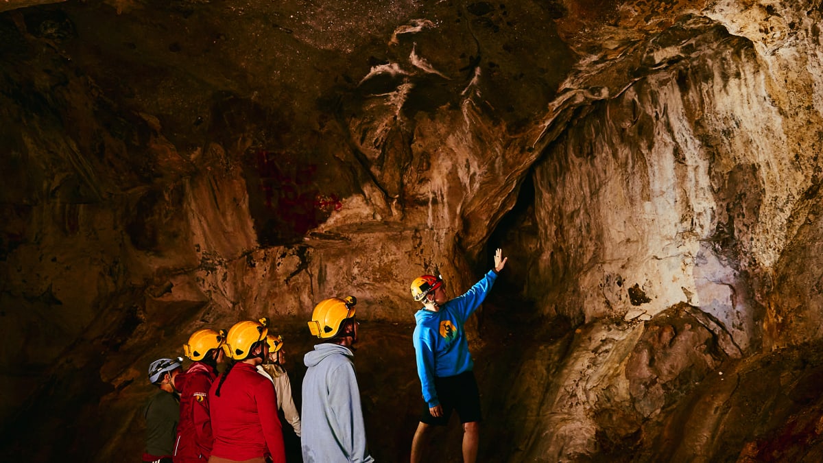 Cave de Arbraska Laflèche.