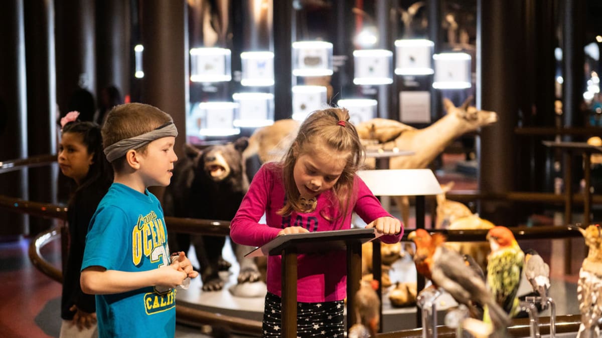 Sherbrooke Museum of Nature and Sciences