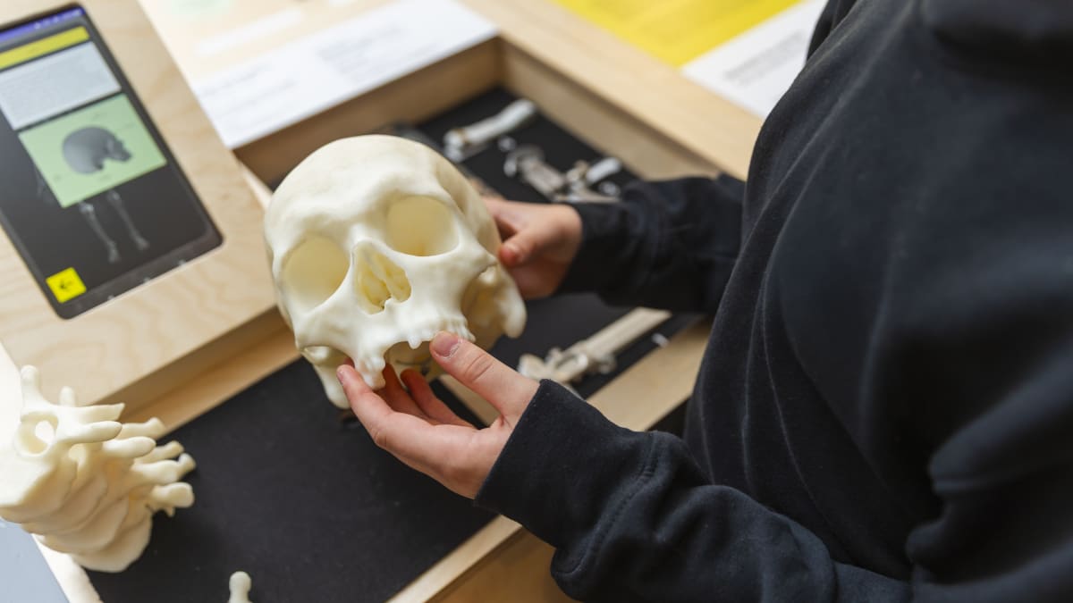 Archaeology and Criminal Investigations exhibition