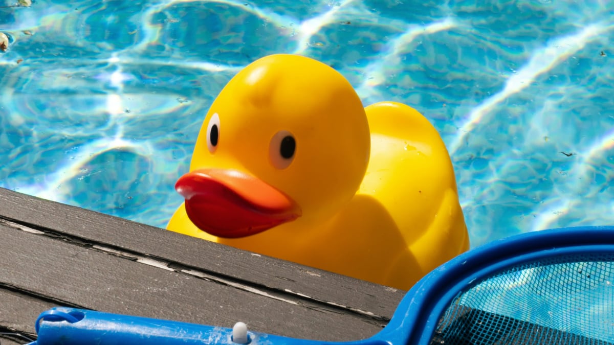 Jouet canard jaune de bain dans l'eau d'une piscine