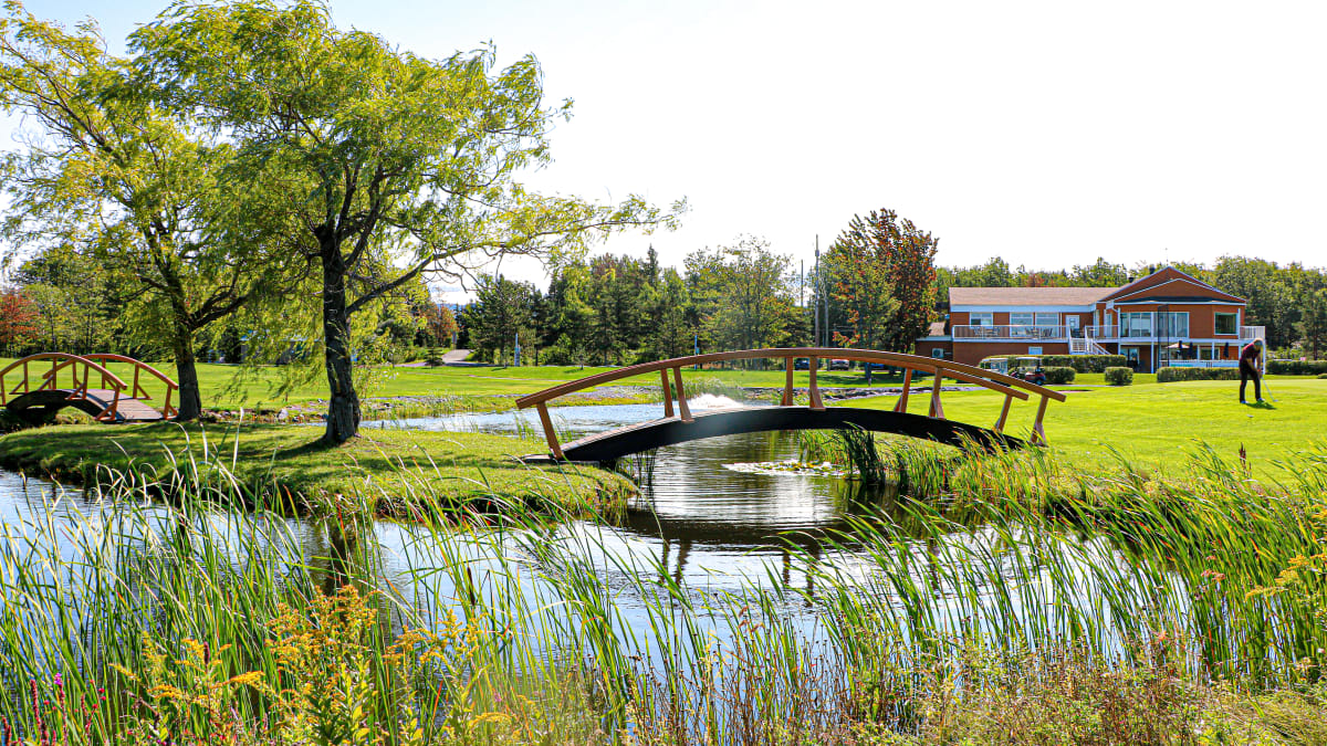 Pond and small bridge on a golf course
