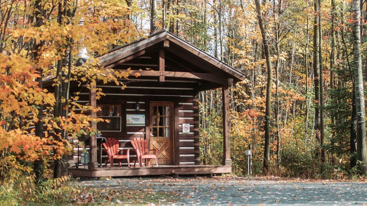 A cabin nestled in the heart of a forest in the Gentilly River Regional Park.