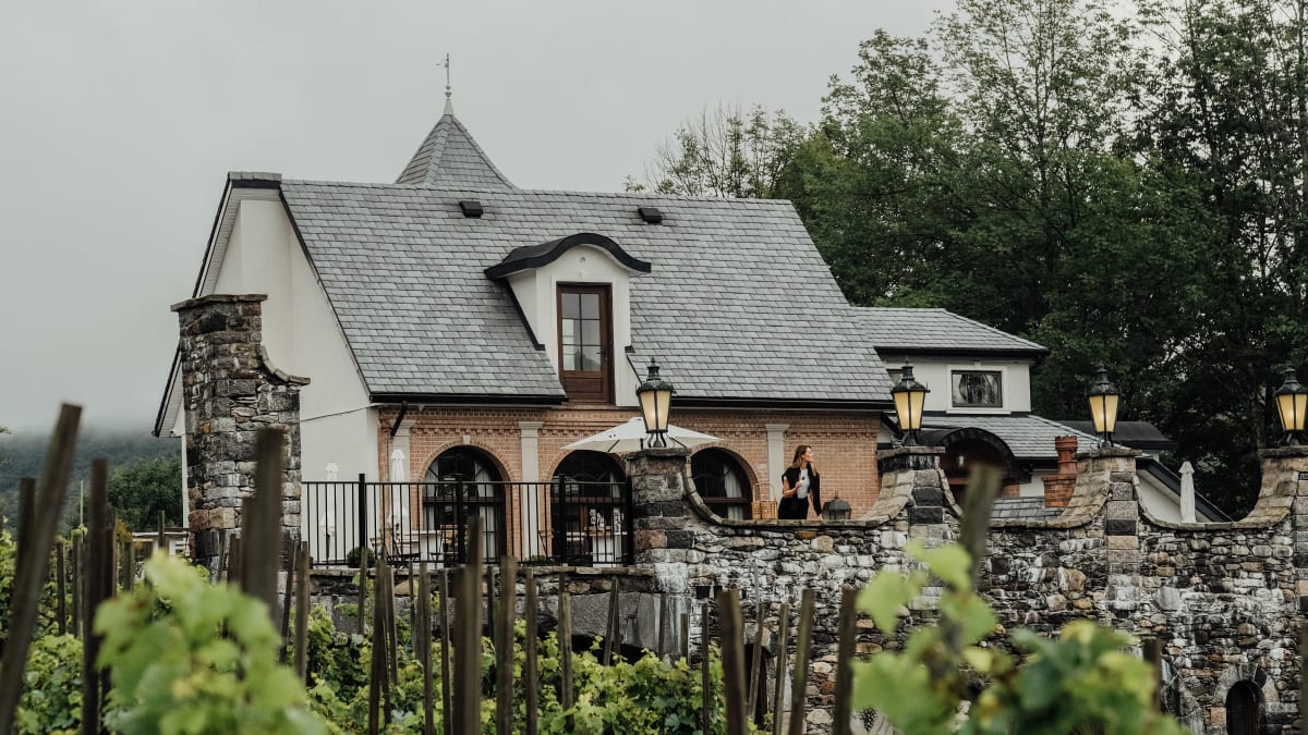 The front of a country inn, with vineyards in the foreground.