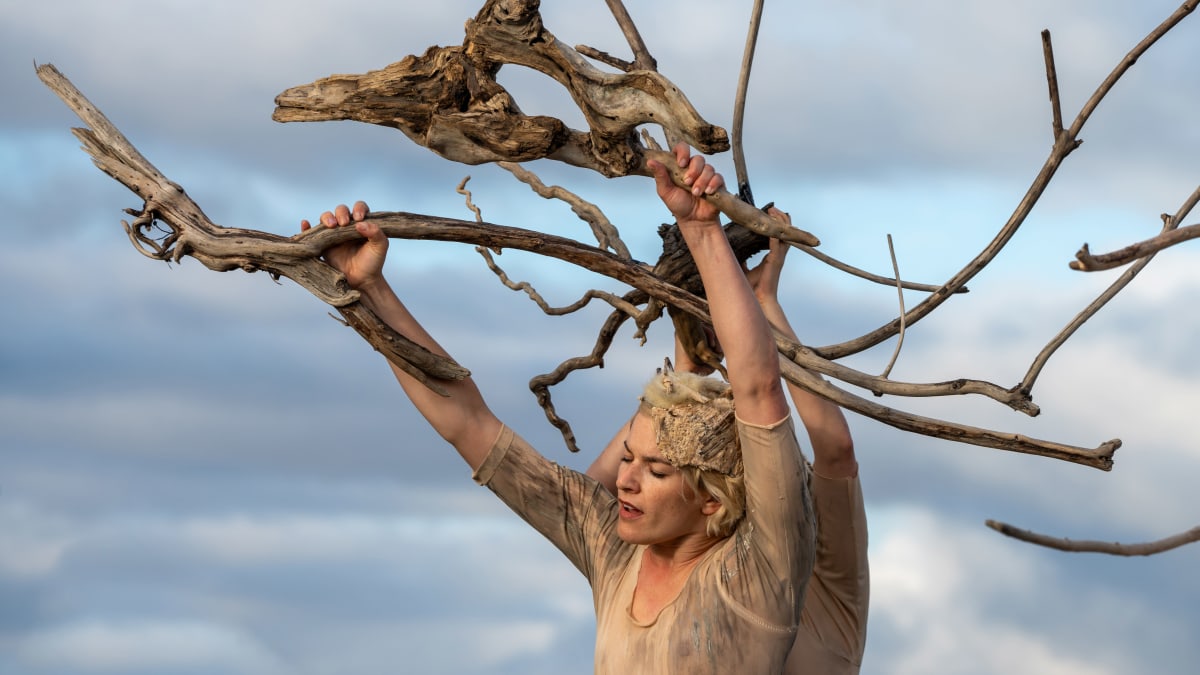 Êtres de Bois, Fleuve espace Danse.