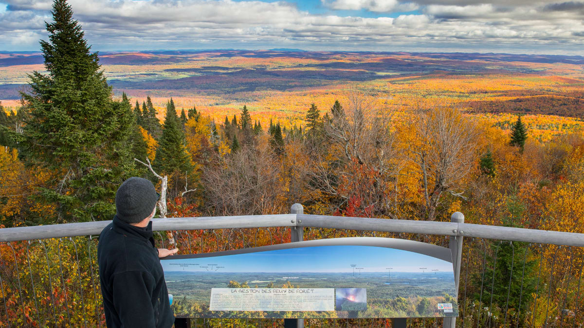 Un homme regarde la vue via un point d'observation en automne.