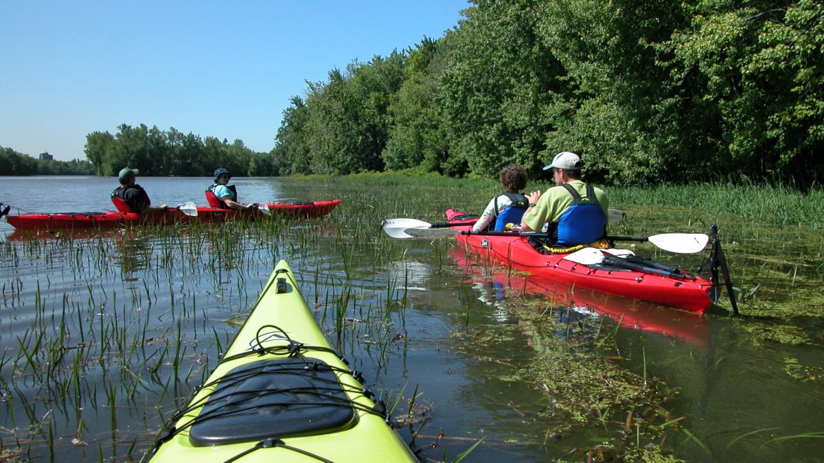 Parc de la Rivière-des-Mille-Îles