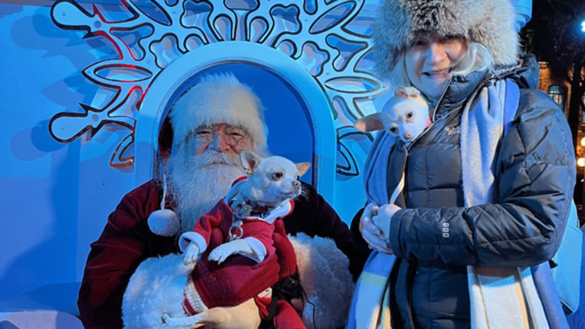 marche_de_noel_allemand_quebec_10