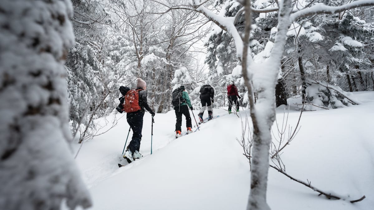 Group of people alpine touring.