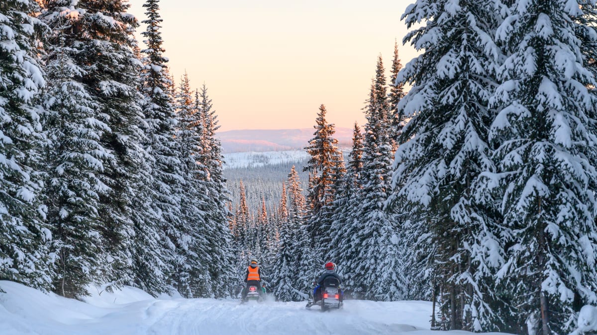 Motoneigistes dans un paysage d'hiver au Québec
