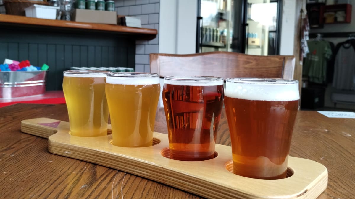 Four glasses of craft beers for tasting.