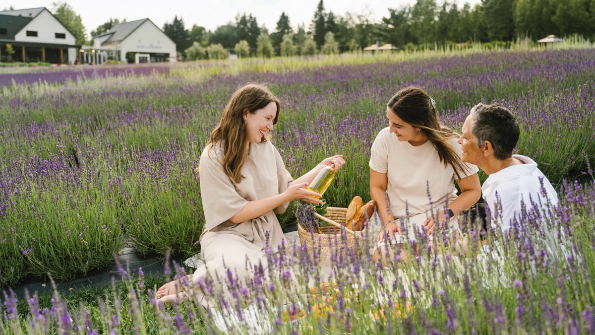 Quatre femmes souriantes en train de pique-niquer dans les champs de lavande.