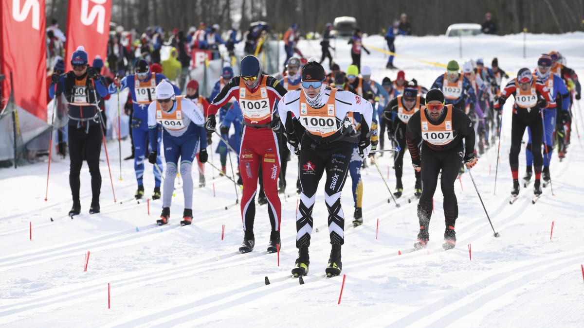Cross-country skiers at the start of a race