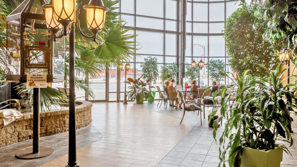 Indoor garden and tables at Hotel Ambassadeur.