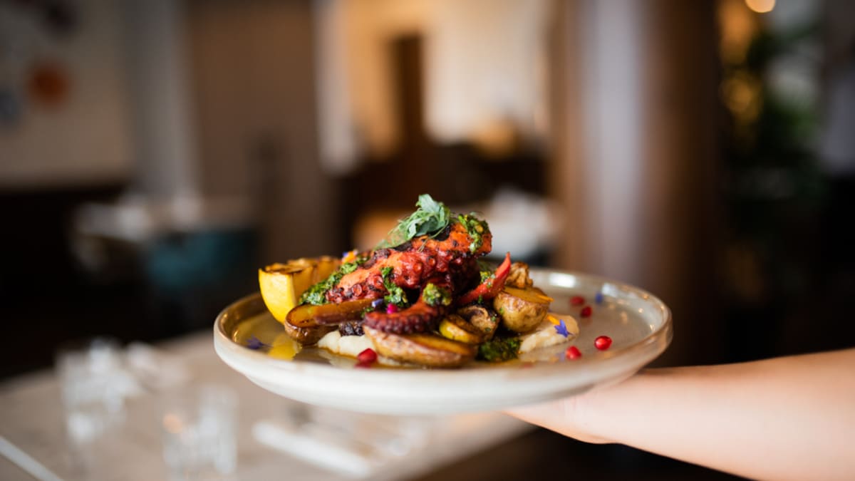Close-up of a beautifully arranged plate.