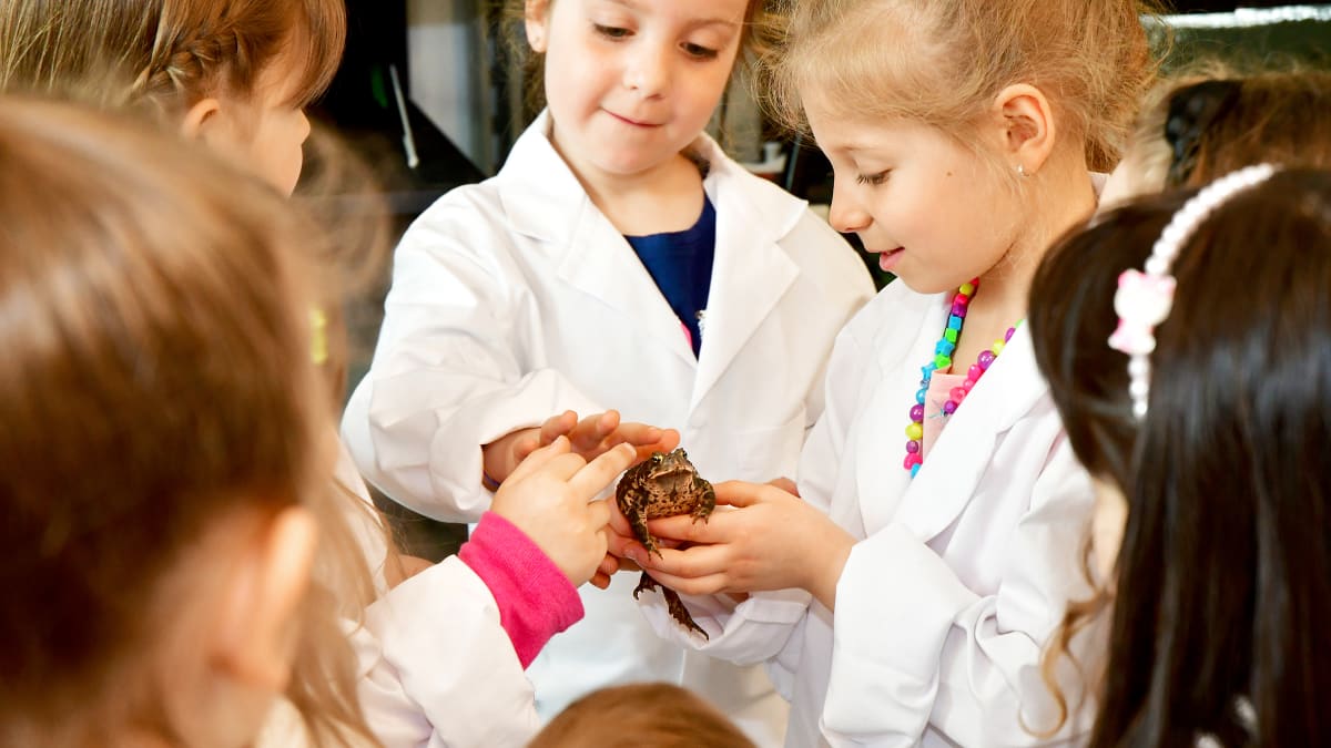 Group of young children in lab coats observing a frog.