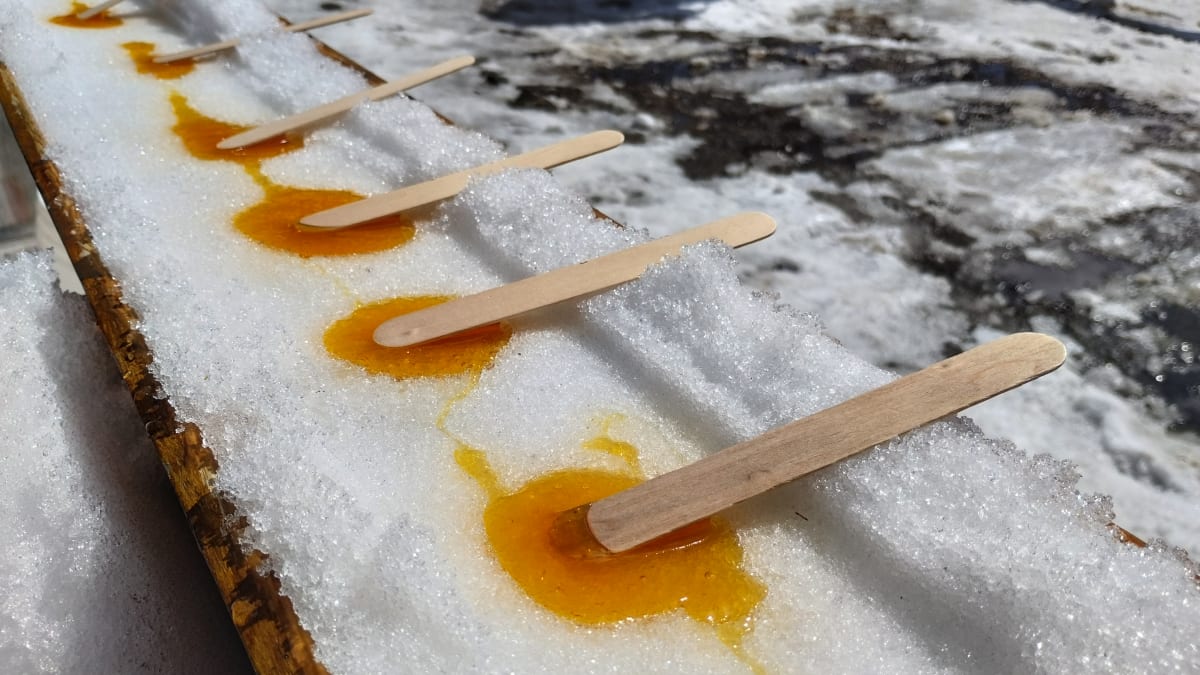 Close-up of a line of maple taffy sticks on the snow.