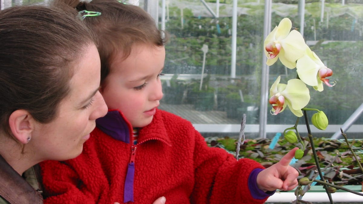 A mother and daughter looking at an orchid.