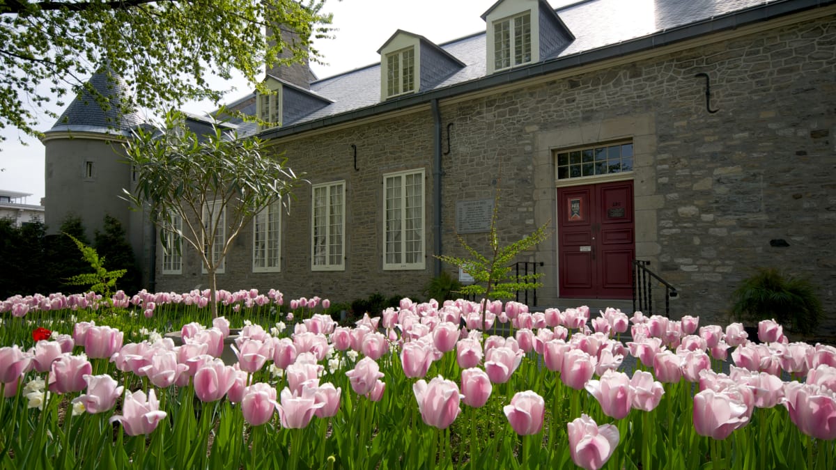 Exterior of a stone-walled museum, surrounded by a tulip-covered ground.
