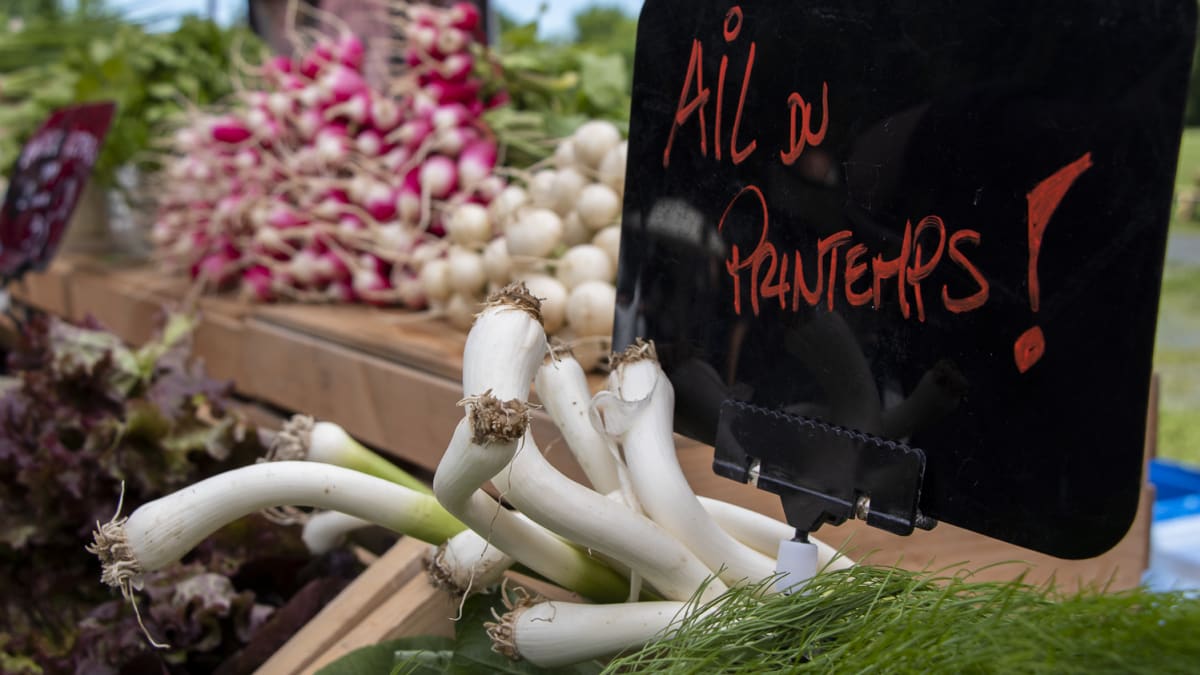 Close-up of a market stall, with a sign reading 'Spring garlic' in French.
