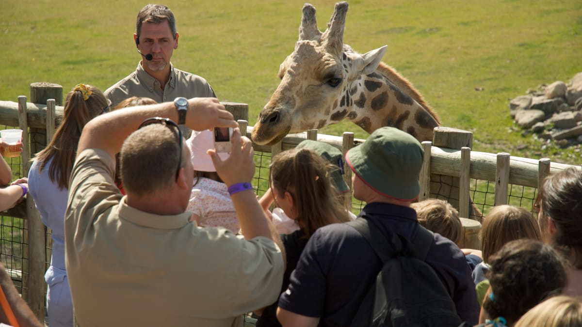 Groupe de personnes en train d’observer et de photographier une girafe dans un zoo.