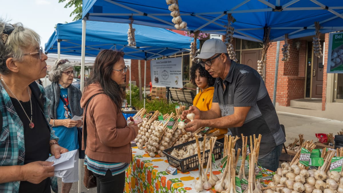 Kiosque d'ail au marché, avec marchands et clients en train de discuter.