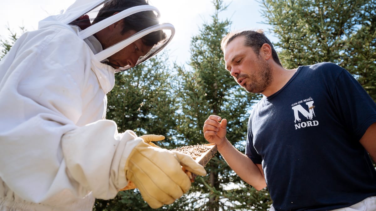 Beekeeper and visitor at the Grande Ourse honey farm