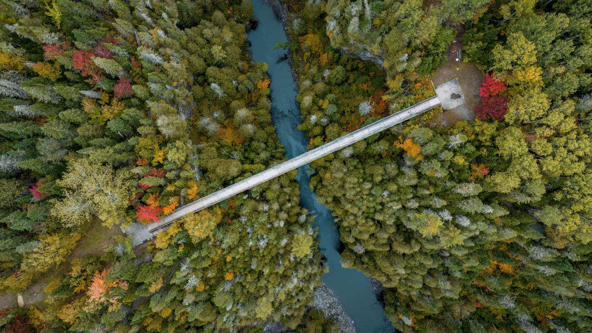 Aerial view of the Hell's Gate Canyon suspension bridge.