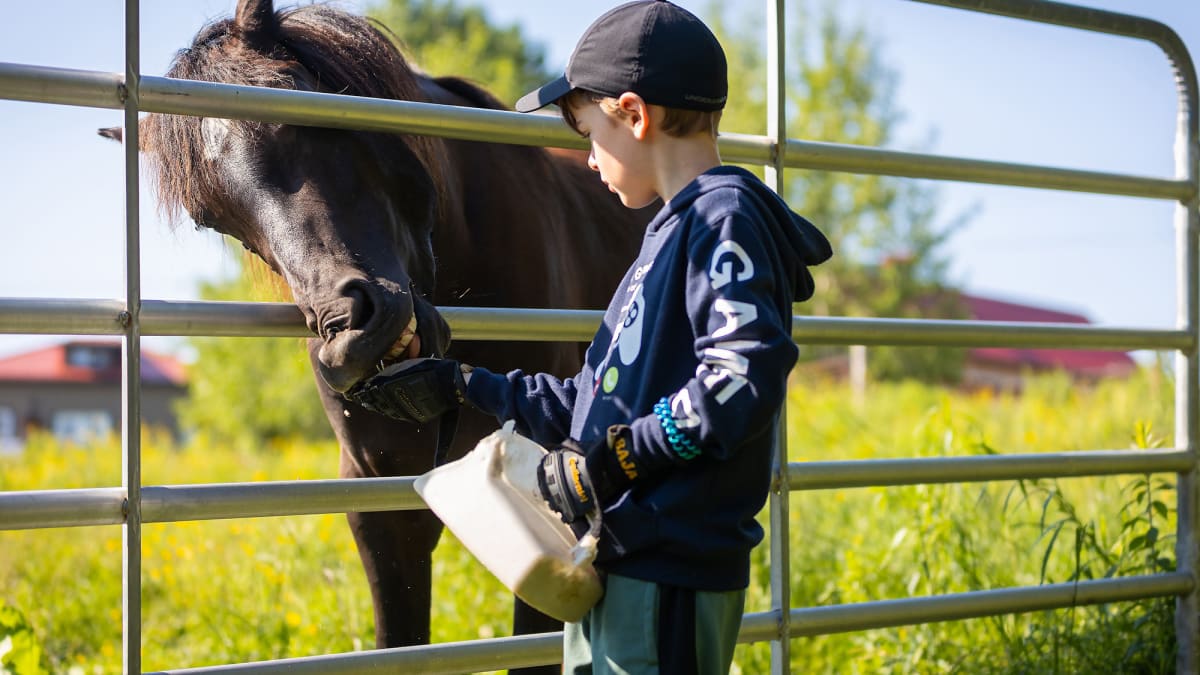 Young boy and black horse behind a fence.
