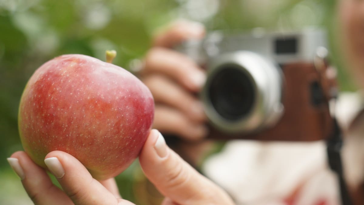 Pomme