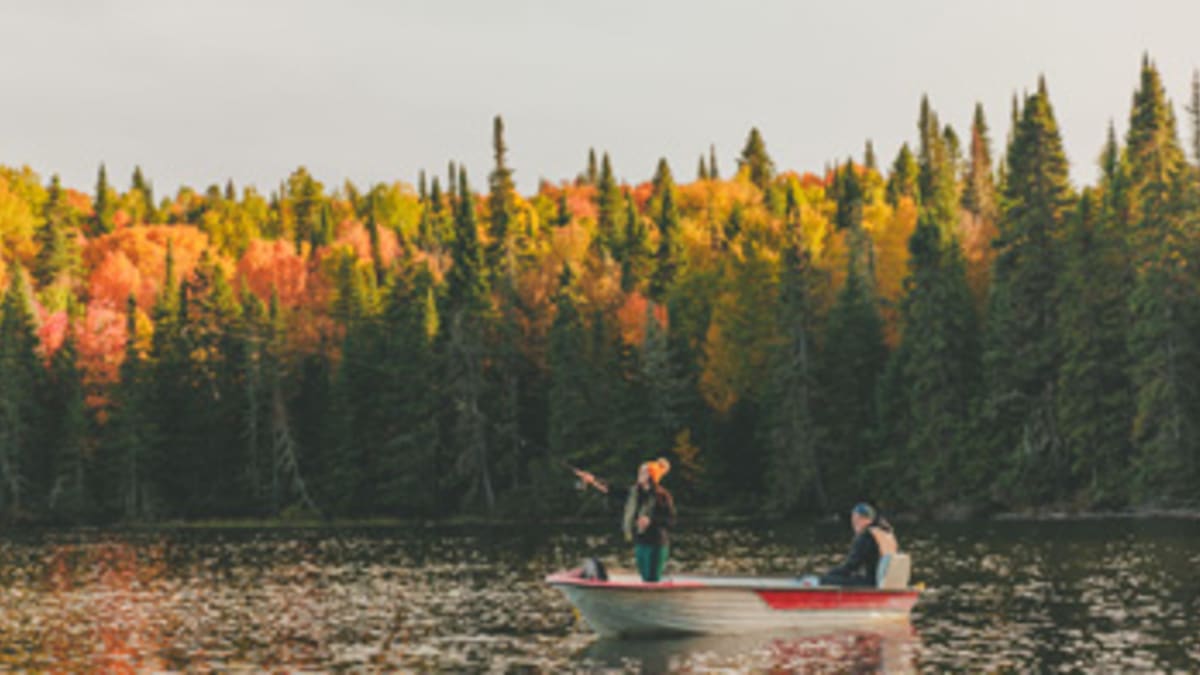 Outfitters