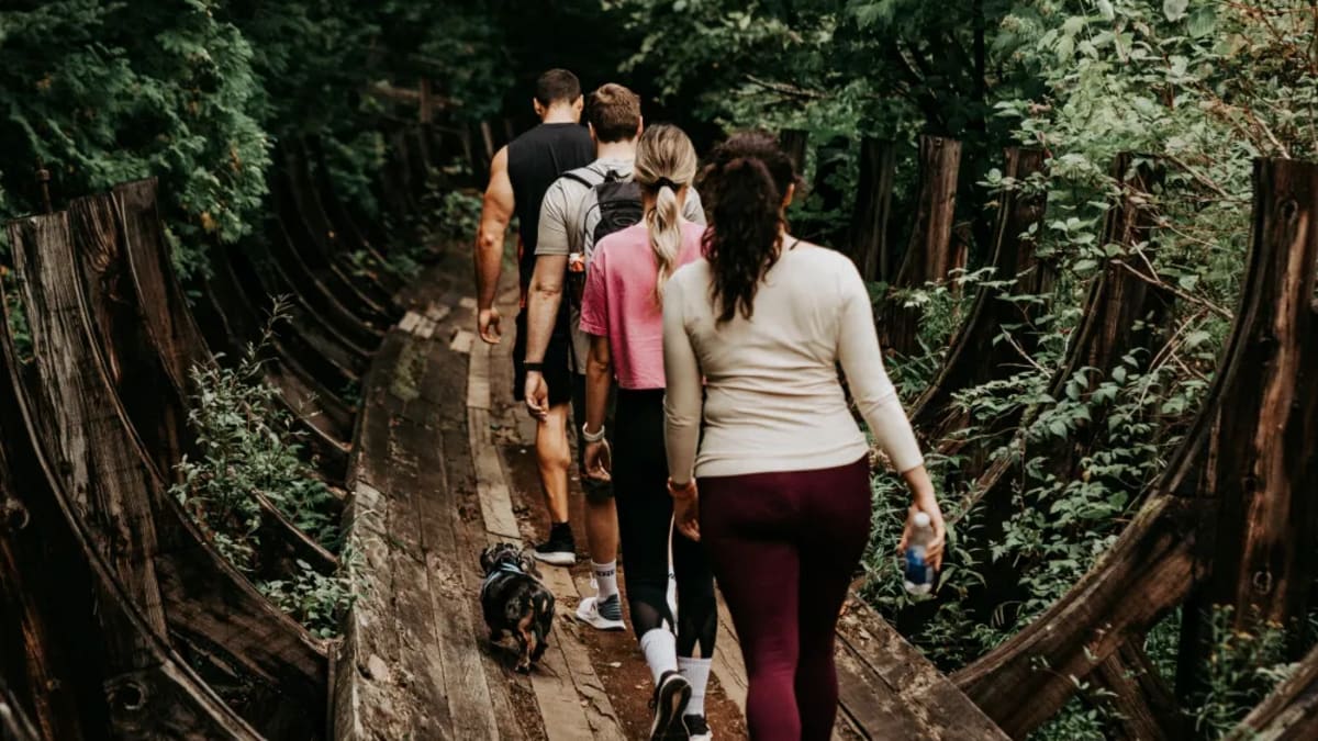 Group of people walking on an old wooden structure in the heart of the forest.