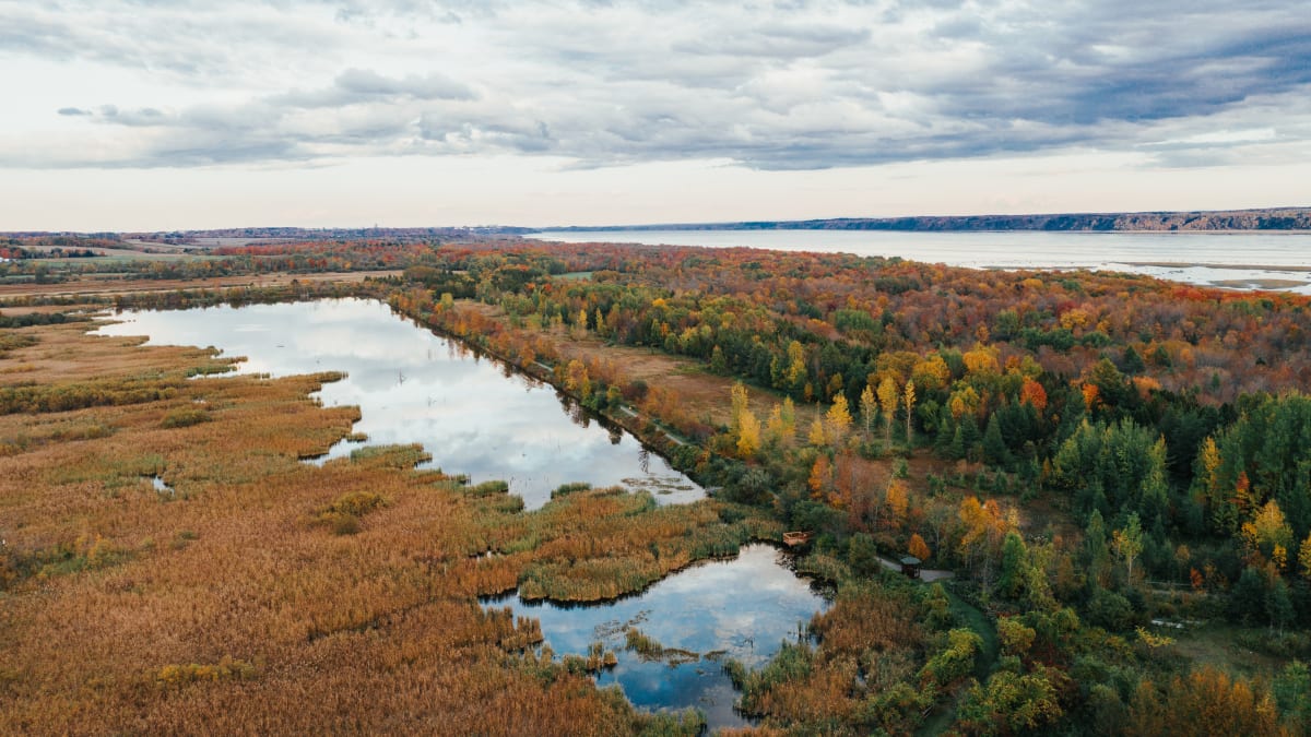 Lake and fall landscape slightly overcast.