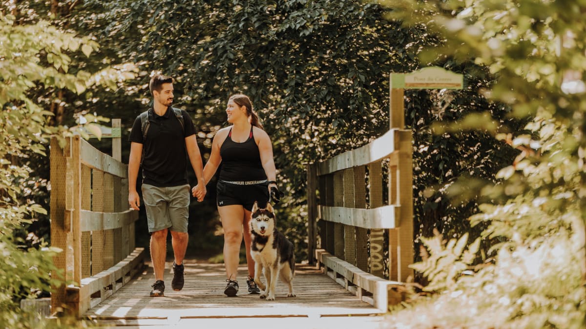 Couple avec un chien en randonnée dans un lieu boisé.