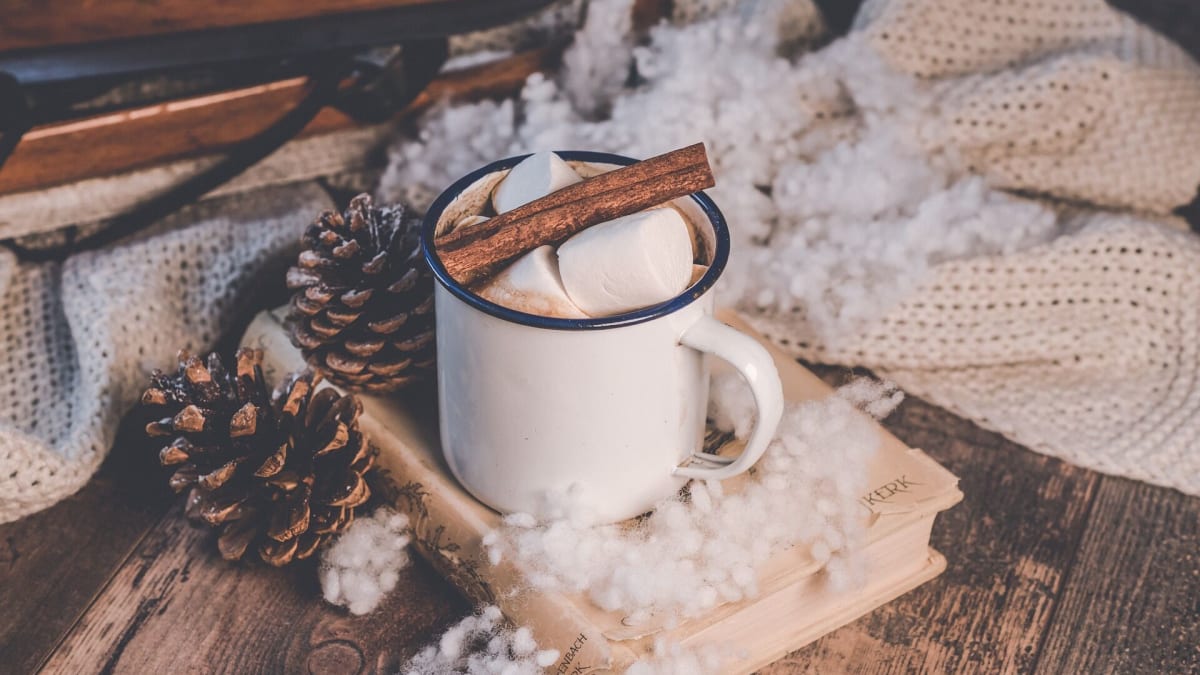Gros plan sur une tasse remplie, avec guimauve et baton de cannelle.