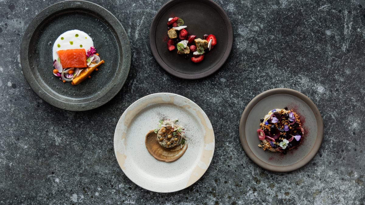 Plats au restaurant Nord des Strom spa nordique.