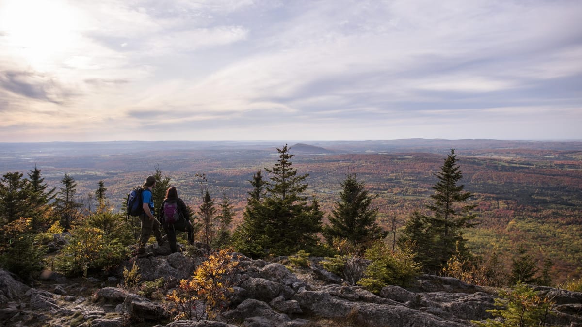 Randonnée en nature